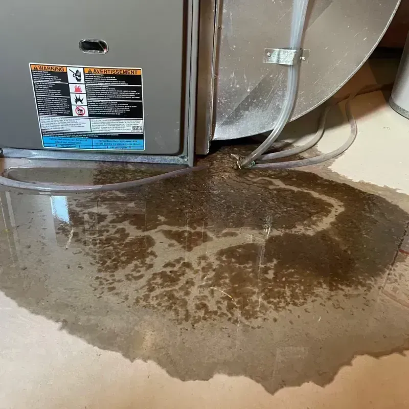 Appliance Leak Cleanup in Kimball, NE